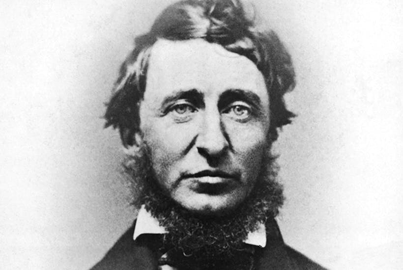 Thoreau was shit at maths