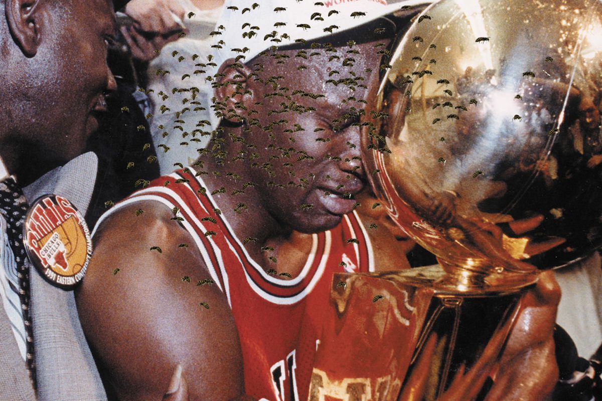 Whypothetical – What If?… Would Michael Jordan Have Been The Greatest of All Time If He Had Constantly Had a Swarm Of Bees Following Him Everywhere?