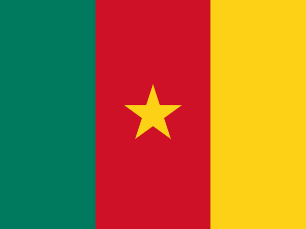 Qlamqtar 2022 FIFA World Cup | Profile | CAMEROON: Lost its wiggle