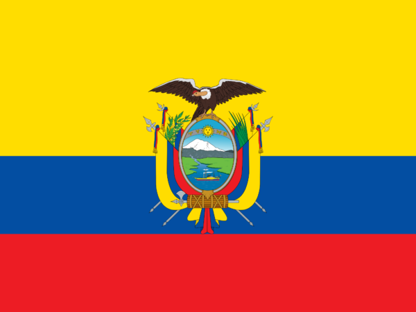 Qlamqtar 2022 FIFA World Cup | Profile | ECUADOR: Neither here, nor there