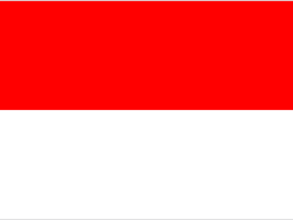 Qlamqtar 2022 FIFA World Cup | Team Profile | INDONESIA: The George Costanza of international soccer
